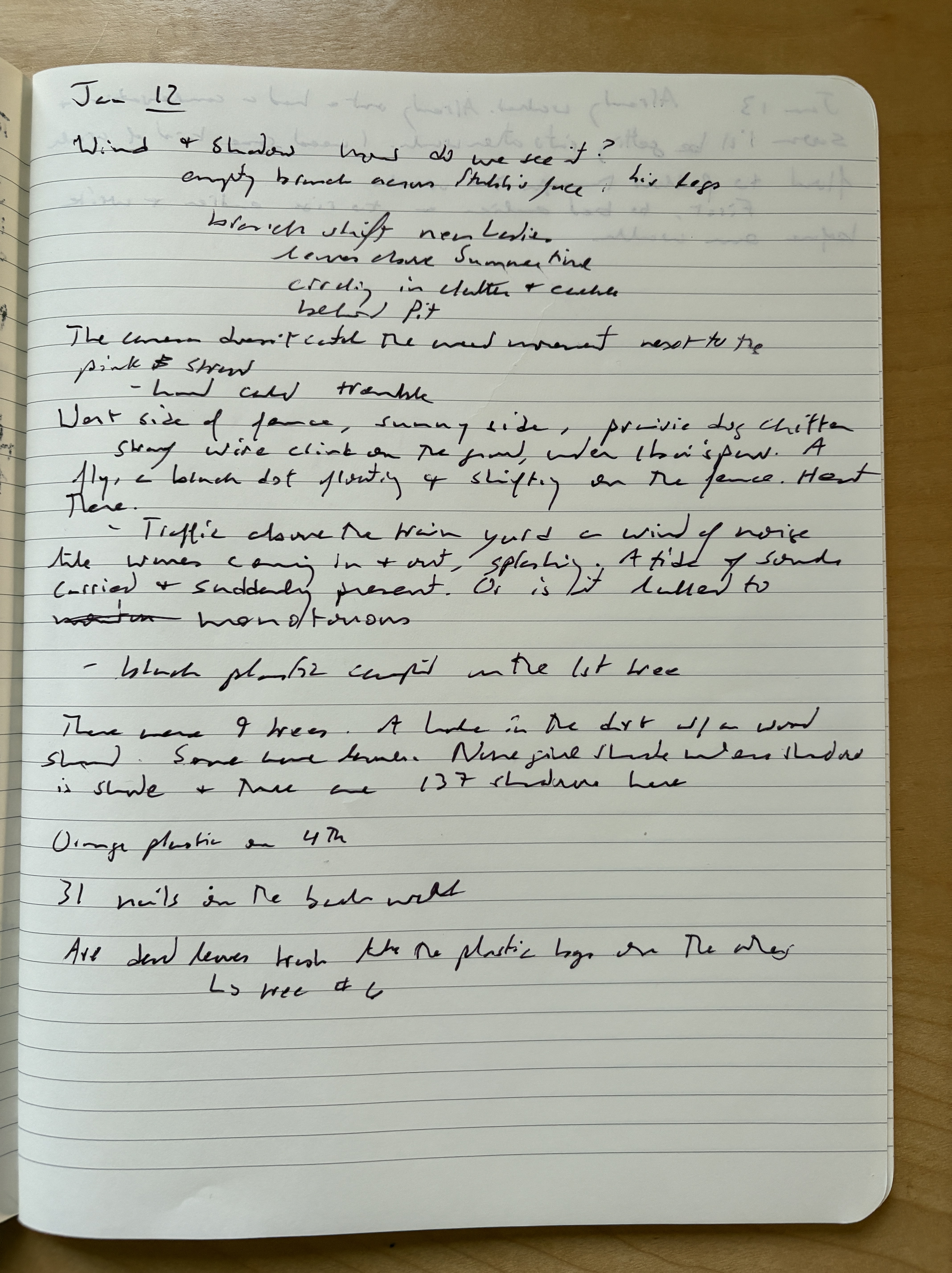 Page of a notebook with handwritten notes.